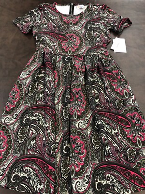 Lularoe  Amelia Pink Green Paisley Pleated Dress   6-8 Small S 4-6 New  Rare
