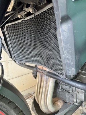 Lightning Bolt Radiator Guard - 2016+ Triumph Classics