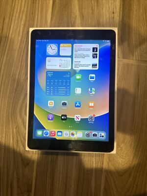 Apple iPad Pro 1st Gen 256GB, Wi-Fi, 9.7 in - Space Gray Rear Camera Not Working