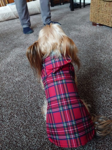 Objectfoto('s) van geverifieerde koper