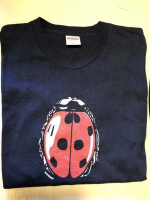 supreme ladybug
