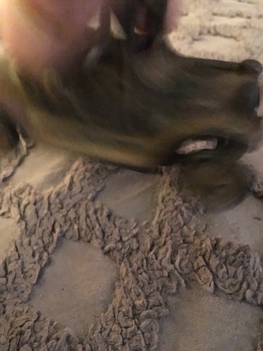 ANTIQUE CAST IRON CAR  4