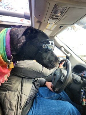 Foto dell'oggetto di un acquirente verificato