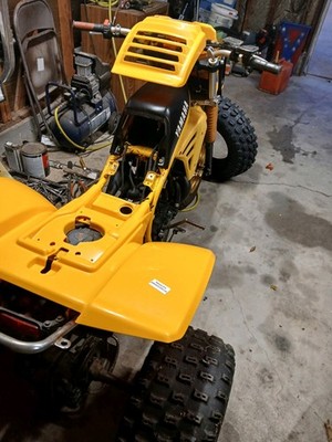 Artikelfoto(s) von einem verifizierten Käufer