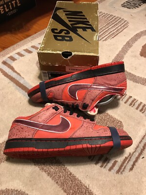 nike sb dunk lobster