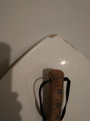 Zap Skimers Skimboard 39x21