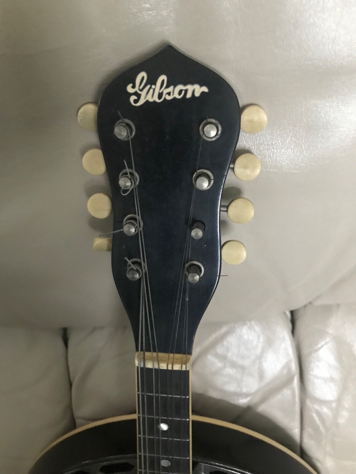 antique Gibson banjo / mandolin