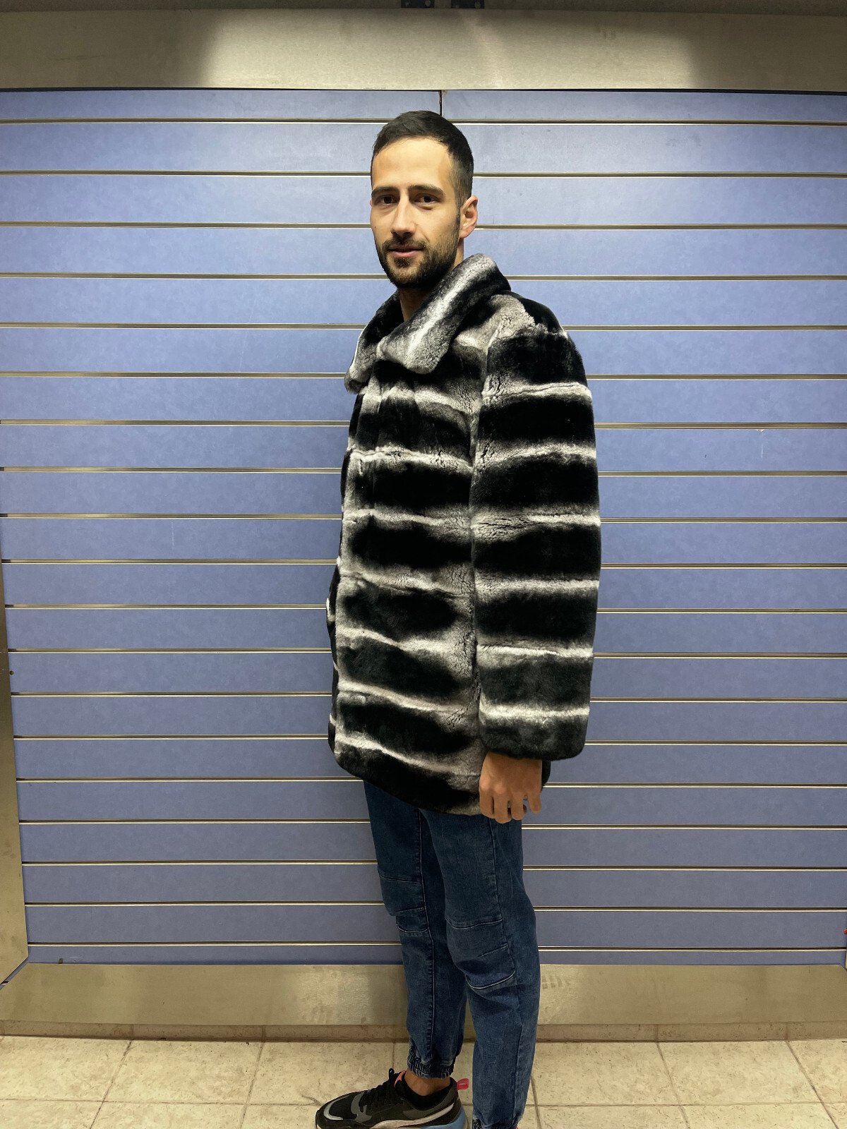 Pre-owned Fenzo Furs Luxury Rex Chinchilla Coat Real Rex Rabbit Fur Full Skin Coat With Collar In Multicolor