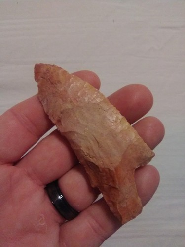 Indian Arrowhead