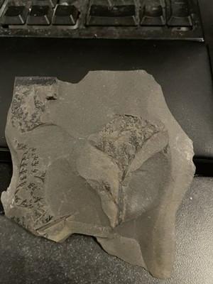 Fotos del artículo de un comprador verificado