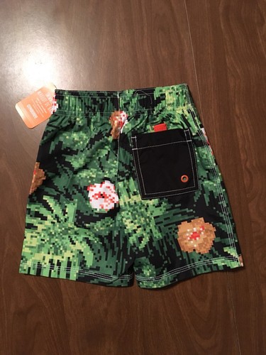 NEW Boys Gymboree Swim Shorts Size 2T