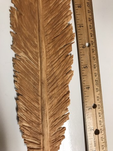 Hand Carved By DJE Basswood Feather VERY Detailed Turkey Oiled Fast Ship!