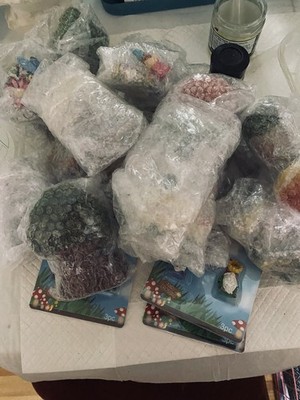 Photos de l'objet d'un acheteur vérifié