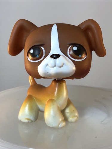 $_12.JPG?set_id=880000500F