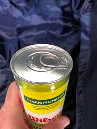 New Wilson Championship Regular Duty Tennis Balls (1-can).