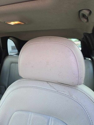 Used Left Front Headrest fits: CHEVY CAPTIVA Left 12 13 14 15