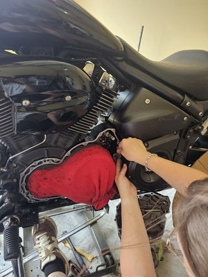 Fotos del artículo de un comprador verificado