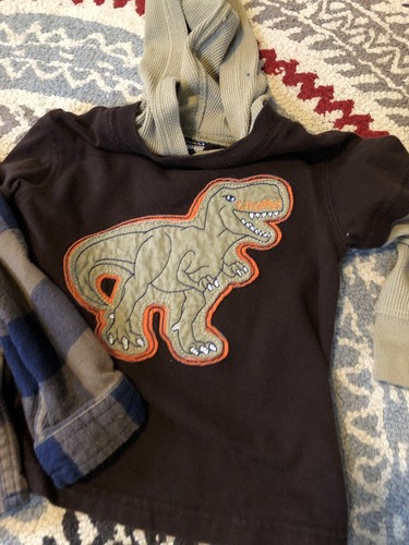 Toddler 18 24 Month Fall Lot Corduroy Hoodie Flannel Dino Top Shirt Zara Carters