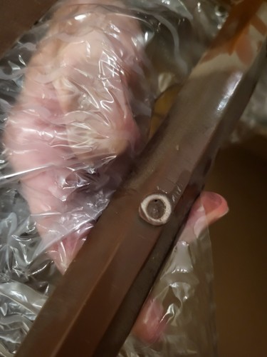 Foto dell'oggetto di un acquirente verificato