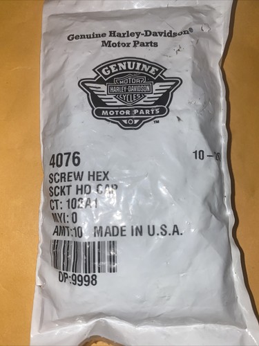 10-New OEM Harley Davidson Hex Socket Head Cap Screws 4076
