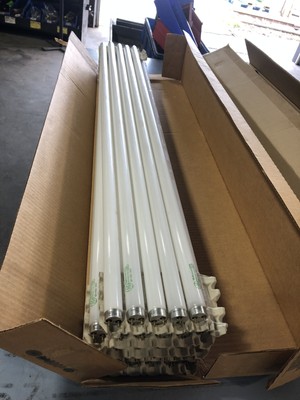 F32t8/sp41/eco - Box Of 36