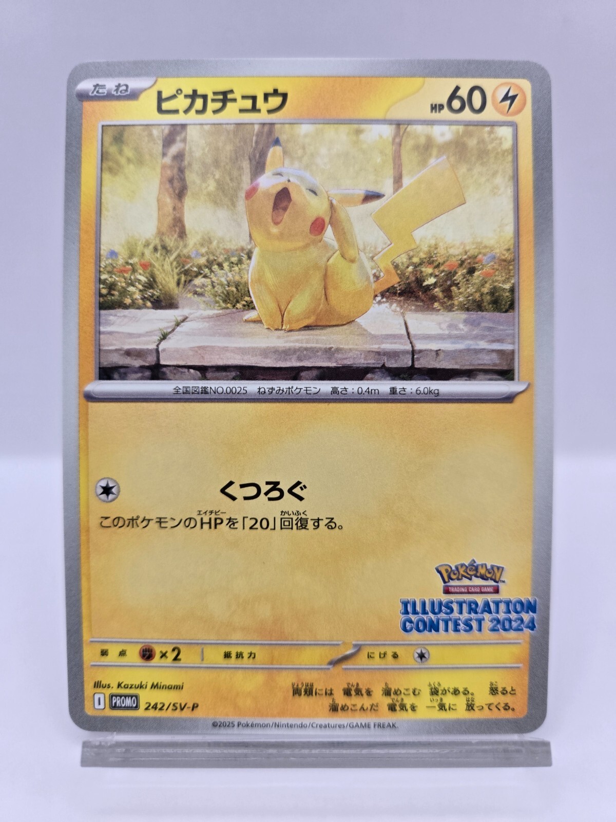 ピカチュウ ILLUSTRATION CONTEST 2024 PSA10 ② Pokemon Card Pikachu Promo PSA 10 Illustration Contest 2024