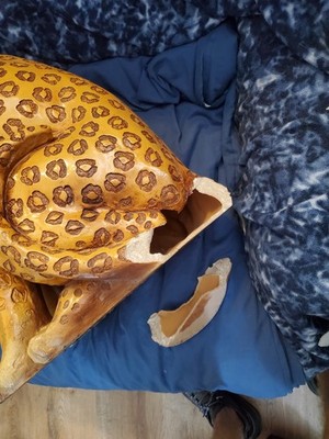 Item photo(s) from verified buyer