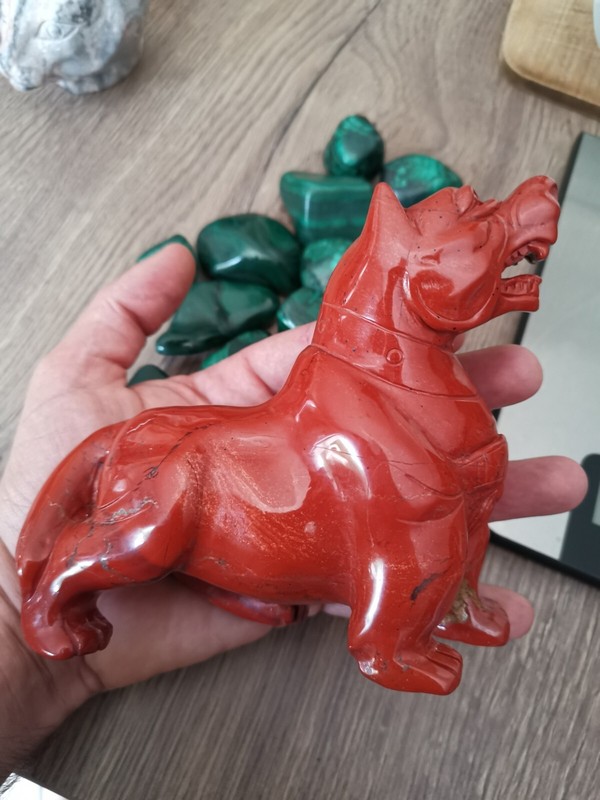 Chien Type Molosse , Staff / Pit En Position De Gardien / Cerbere A Une TÃªTe