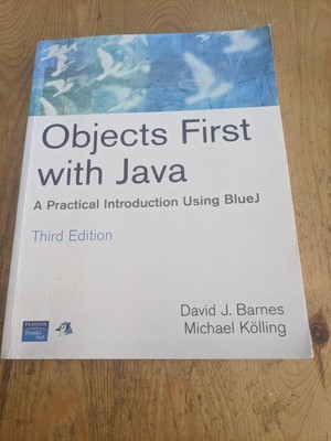Computer OBJECTS FIRST WITH JAVA 480 pages BOOK NO CD