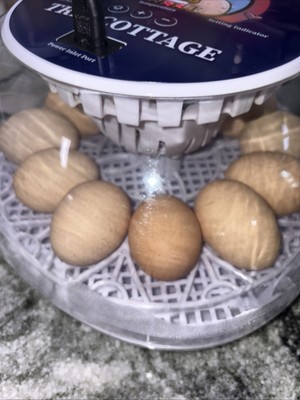 Fotos del artículo de un comprador verificado