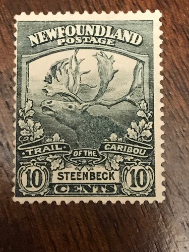 Newfoundland stamp 1919