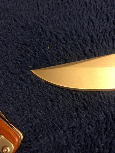 NEW FF1001CP SOG Salute Mini- Bead Blast G10 Handle  3.1