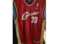 real lebron james jersey