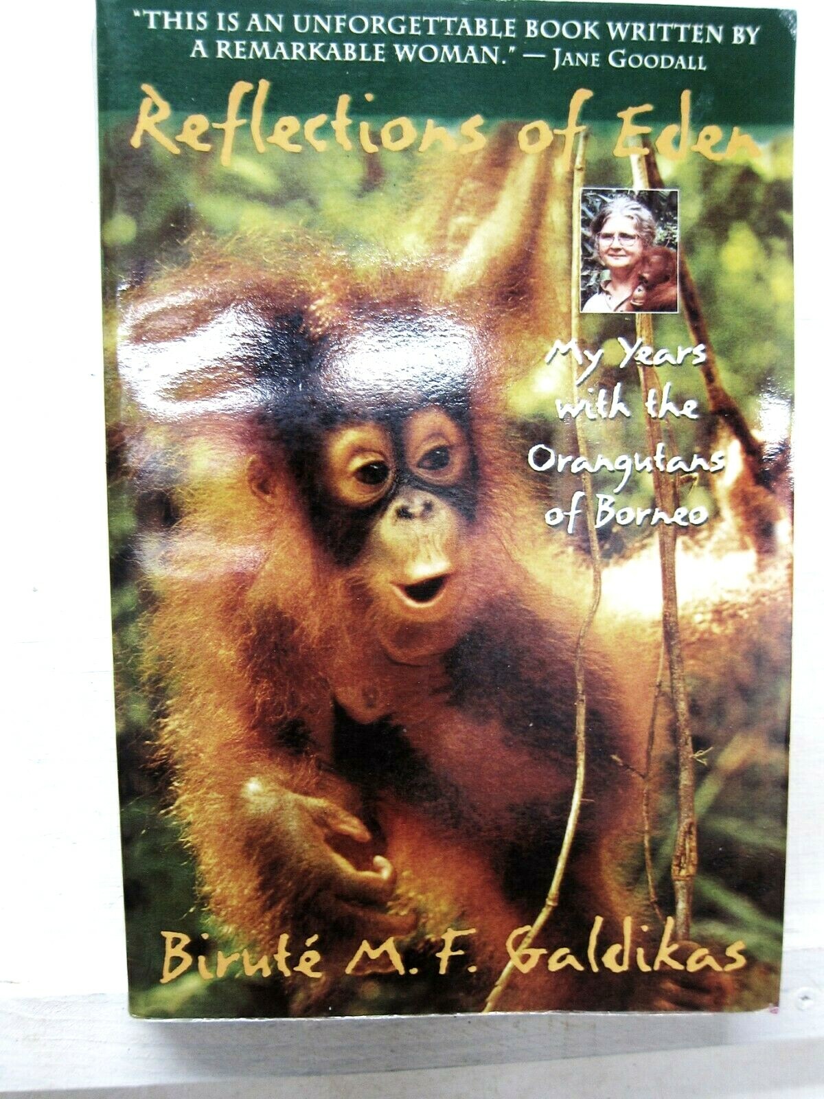 GLADYS PETO’S TOLD in the GLOAMING 洋書 古書 GLADYS PETO'S TOLD in the GLOAMING 洋書 古書