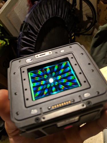 Phase One p30 Hasselblad H digital Back