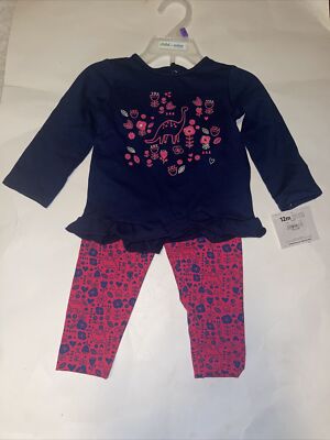 Child of Mine by Carter's Blue/Pink Dinosaurs Flowers 2-Piece Outfit Set 12M