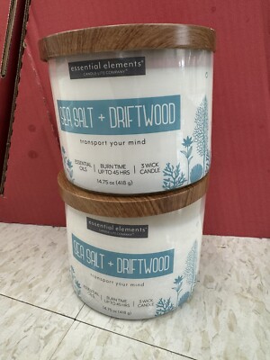 2 Pack Essential Elements 3-Wick Jar Candles Sea Salt Driftwood 14.75-oz i4