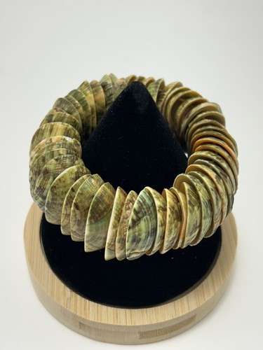 Green Turbo Shell Slice Stretch Bracelet Handmade Natural Shell Boho Beach