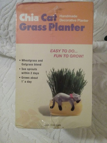 Chia cat grass planter