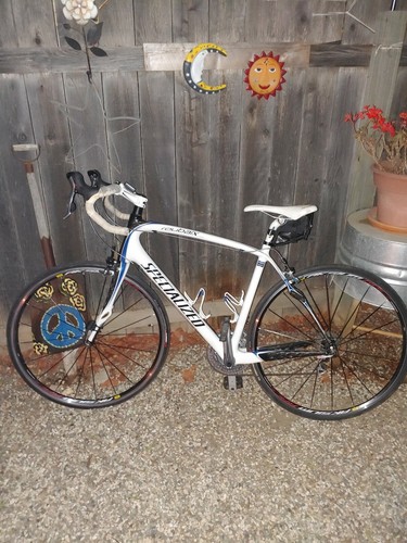 2010 Specialized Roubaix Comp