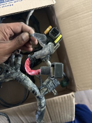 Fotos del artículo de un comprador verificado