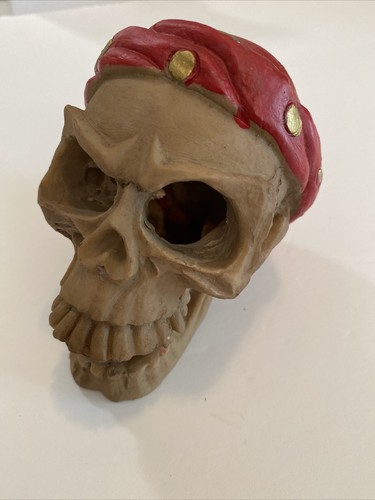Pet Smart, Pirate Skull,  Aquatic Decor Fish Tank Aquarium Decoration