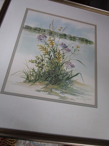 Nancy Ricker Rhett From Beaufort, Sc. Wild Flowers Numbered And Pencil Signed