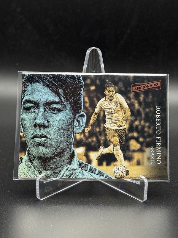 Panini Aficionado 16/17 - Roberto Firminio - Brasilien