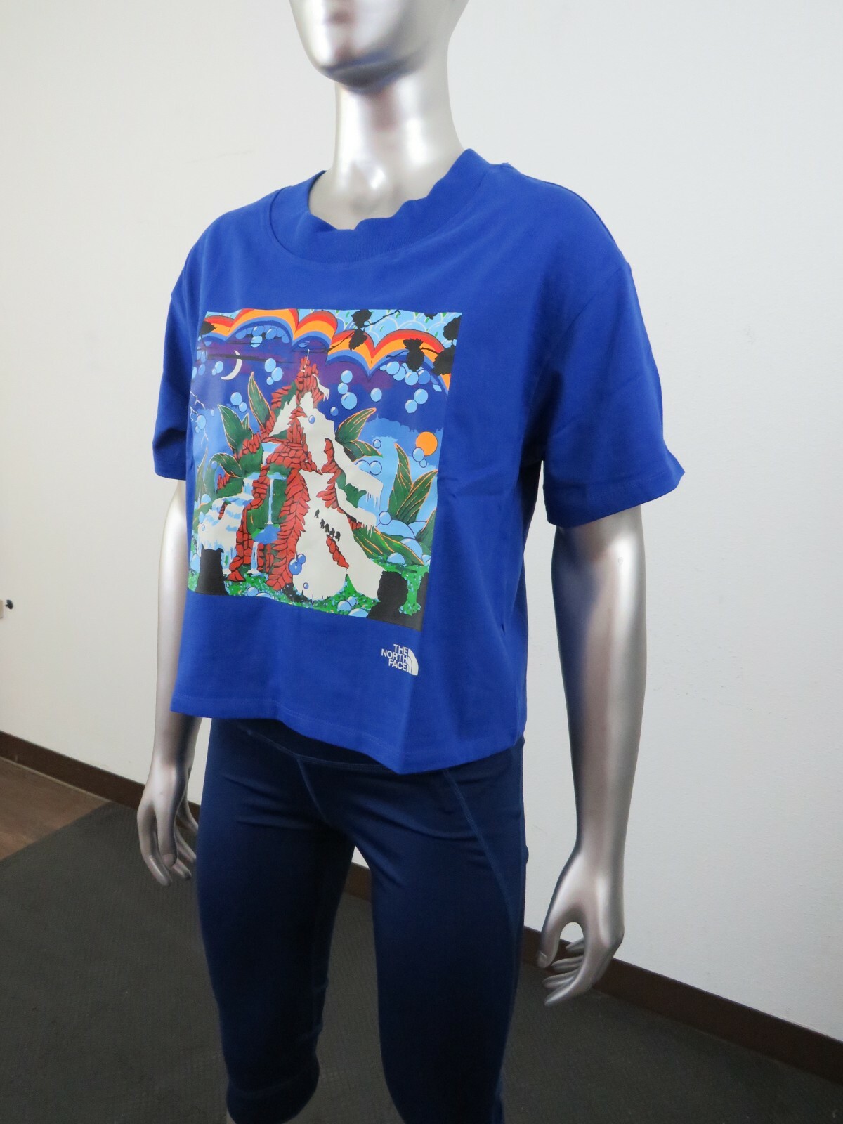 トップス THE NORTH FACE FFFS Graphic Combo Tee トップス THE NORTH FACE FFFS Graphic Combo Tee THE NORTH