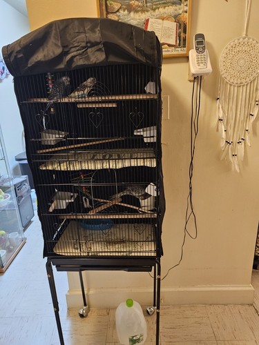 Foto dell'oggetto di un acquirente verificato