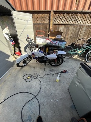 Foto dell'oggetto di un acquirente verificato