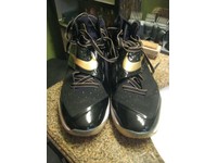cj81 trainer max