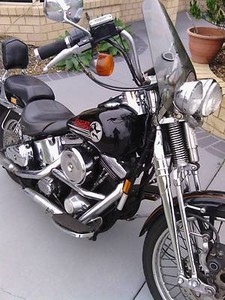 harley davidson springer softtail Pialba Fraser Coast Preview