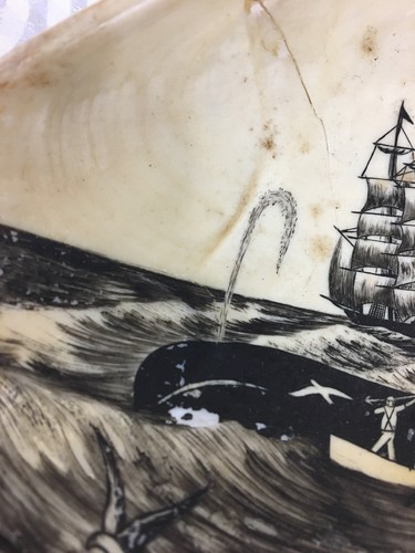 Amazing Original Scrimshaw Whale Clipper Clamshell 